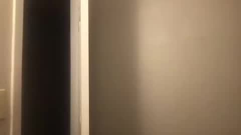 3 Vivian 3 online show from 10-20-25, 04:46