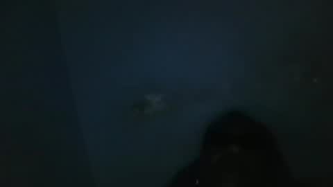 vivitransbahia22cm online show from 02-12-25, 10:24