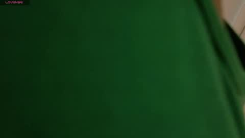 Snapshot of vixen_flutter chatting on 04-01-26, 11:44 Vixen online show from 04-01-26, 11:44