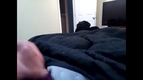 Snapshot of vladedivac1998 chatting on 09-23-25, 04:43 vladedivac1998 online show from 09-23-25, 04:43