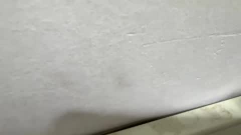 vmontel88 online show from 03-17-26, 01:36