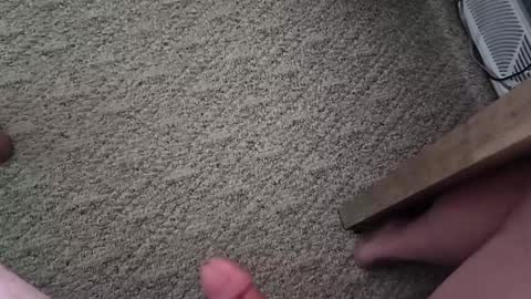 vtxrider77 online show from 10-01-25, 03:40