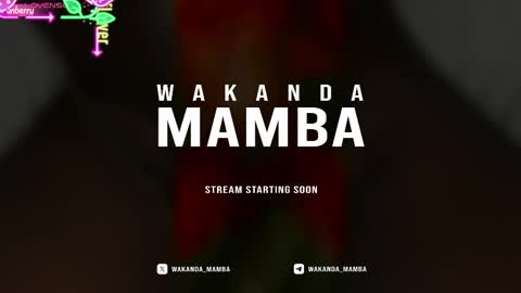 Snapshot of wakanda_mamba chatting on 11-17-25, 03:40 Wakanda Mamba online show from 11-17-25, 03:40