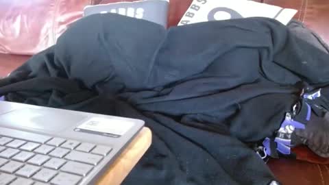 Hereforfun online show from 12-01-24, 10:21