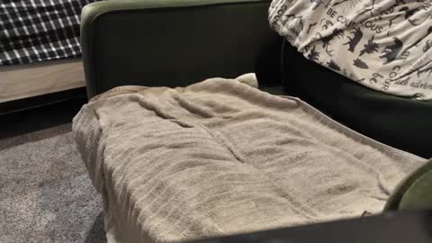 Daddy online show from 01-03-25, 09:57