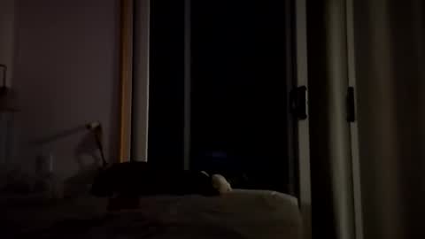 watershed111111 online show from 01-14-26, 03:56