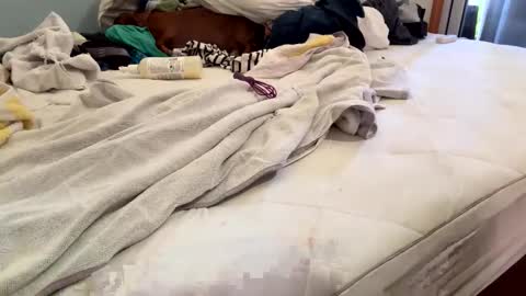 watershed111111 online show from 02-26-26, 06:40