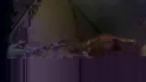 waynedmiller60895321 online show from 04-02-26, 02:53