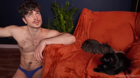 waynenorth online show from 11-22-25, 04:39