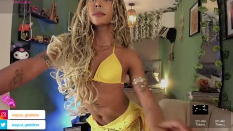 Wayuu Goddess  3 online show from 01-17-25, 08:00