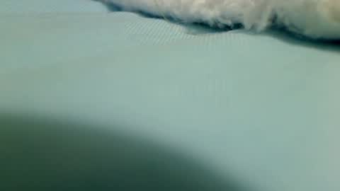 webbo809 online show from 03-16-26, 04:33