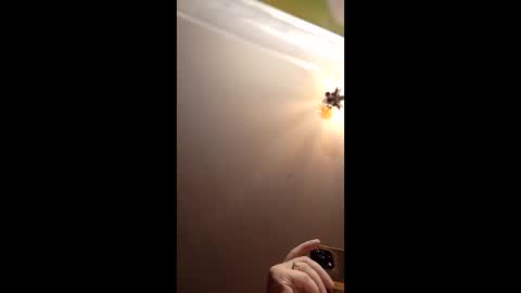 Snapshot of webiran chatting on 03-02-26, 04:58 webiran online show from 03-02-26, 04:58