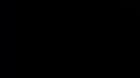 wellingtont online show from 11-26-25, 04:52