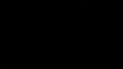 wellingtont online show from 12-20-25, 04:08