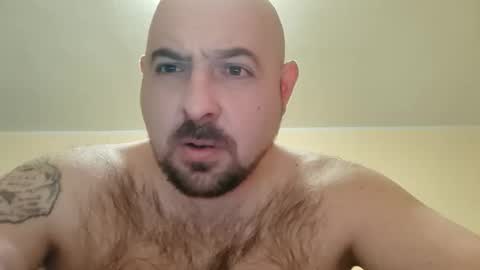Snapshot of werewolfalfa1 chatting on 11-23-25, 05:24 AlphaStars online show from 11-23-25, 05:24