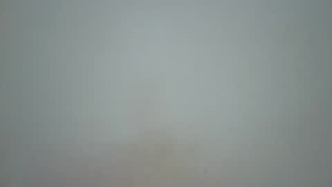 wet_pussieyy online show from 11-10-25, 03:00