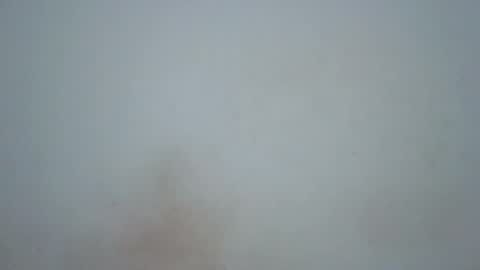 wet_pussieyy online show from 02-17-26, 09:21