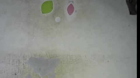 Bella online show from 02-06-26, 09:29