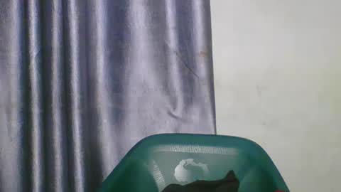 wetfatpussy_ online show from 03-05-26, 06:59