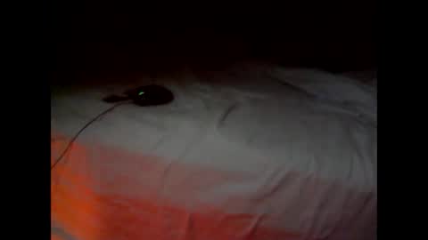 Snapshot of wgefwdtfvnlx chatting on 02-25-26, 07:34 wgefwdtfvnlx online show from 02-25-26, 07:34