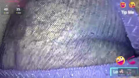 white_sexy_ online show from 02-02-26, 11:09