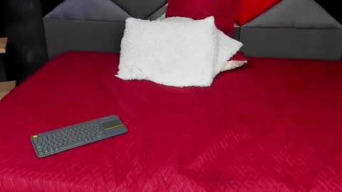 Dylan white online show from 03-10-25, 09:29