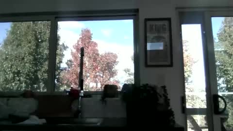 whitepantyman1973 online show from 04-29-26, 03:10
