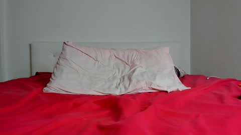 Snapshot of whitepumaari chatting on 01-29-25, 03:26 Ari online show from 01-29-25, 03:26