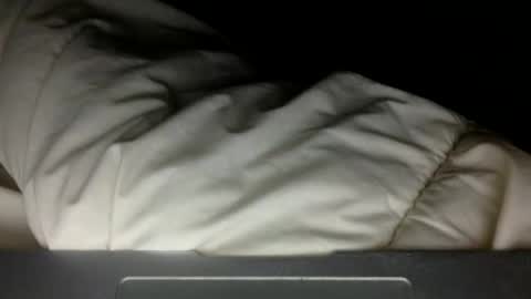 Snapshot of wholesomebull00 chatting on 11-10-25, 04:55 wholesomebull00 online show from 11-10-25, 04:55