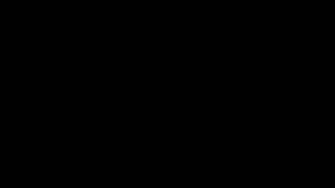 WhoDat online show from 03-26-26, 08:53