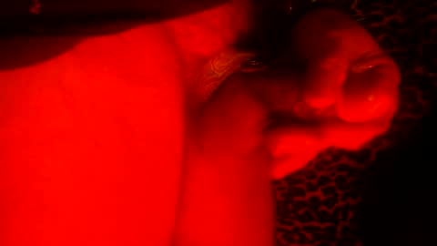 whor4mor online show from 01-09-25, 11:25