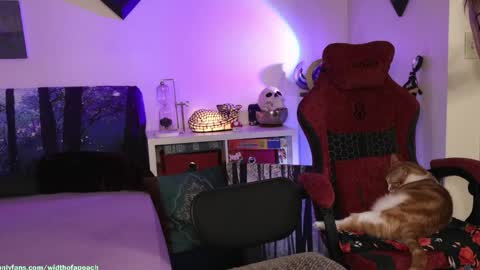 Gretchen  Jimmy online show from 03-29-26, 04:45