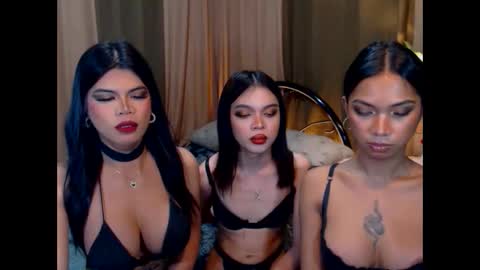 wildara online show from 10-22-25, 10:59