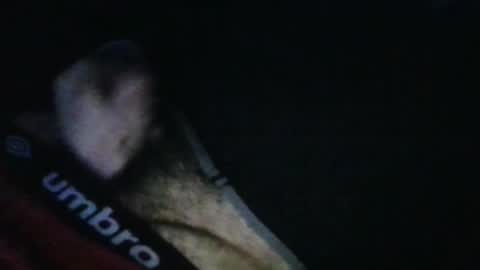 Snapshot of wildealexyz chatting on 10-17-25, 11:46 WildeAlex online show from 10-17-25, 11:46