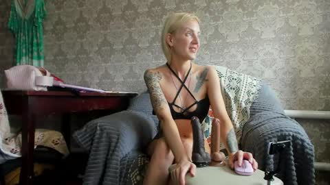 wildforestmuse  twitter online show from 04-13-26, 08:20