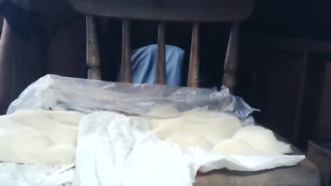 wildman6 online show from 01-26-25, 08:34