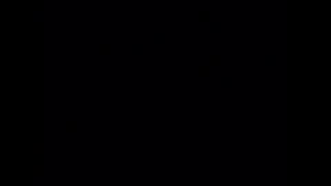 wiley0520 online show from 03-03-26, 06:41