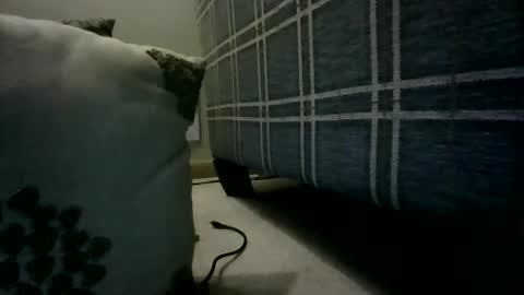 Willhedoher online show from 03-04-26, 12:33