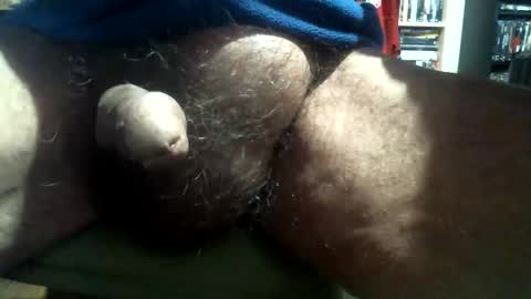 willstrok online show from 12-28-24, 03:04