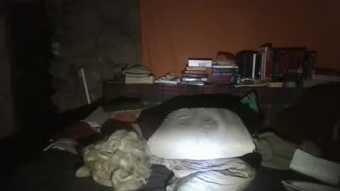 Snapshot of willy2969 chatting on 01-30-25, 03:11 willy2969 online show from 01-30-25, 03:11