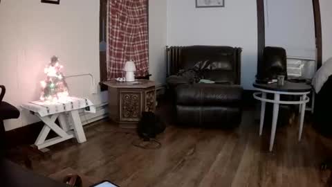 Snapshot of willydogg83 chatting on 12-16-25, 06:07 willydogg83 online show from 12-16-25, 06:07