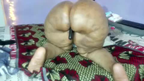 wilmaassylum online show from 01-05-26, 05:27