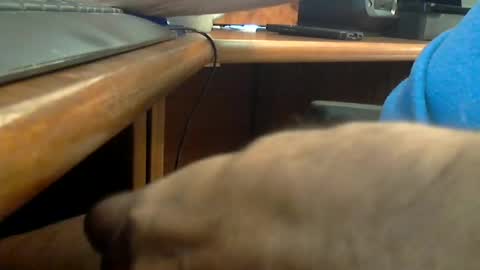 Snapshot of wineman88886 chatting on 06-20-26, 07:16 Wineman88886 online show from 06-20-26, 07:16
