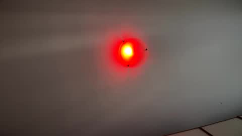 Witebull online show from 09-17-25, 06:59