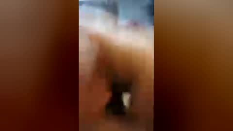 wlshwnkr online show from 07-31-26, 11:31