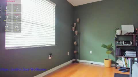 Wolfienov online show from 12-27-24, 03:37