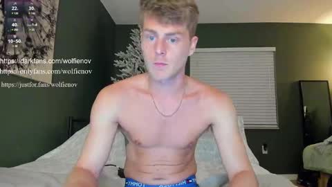 Wolfienov online show from 02-14-25, 12:51