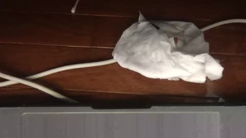 Sultan Blaze online show from 02-19-26, 05:03