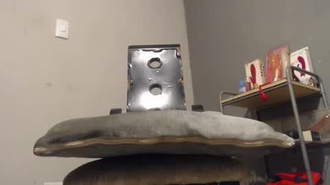 Snapshot of wonderfullight chatting on 12-02-25, 11:00 SHENIEL RODRIGUEZ online show from 12-02-25, 11:00