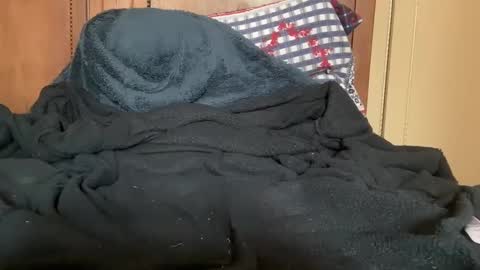 wonkywillywanks online show from 01-31-25, 12:51